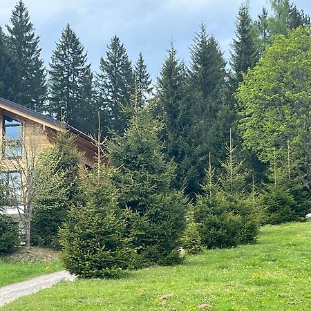 Chalet Bergheimat Wagrain Exterior foto